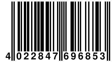 4 022847 696853