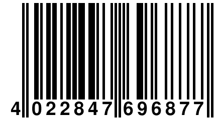 4 022847 696877