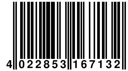 4 022853 167132