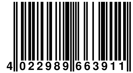 4 022989 663911