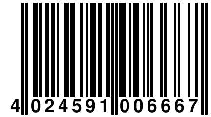 4 024591 006667