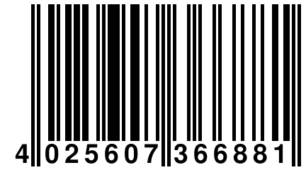 4 025607 366881