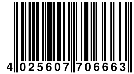 4 025607 706663