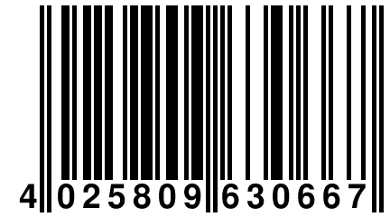 4 025809 630667