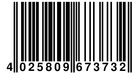 4 025809 673732