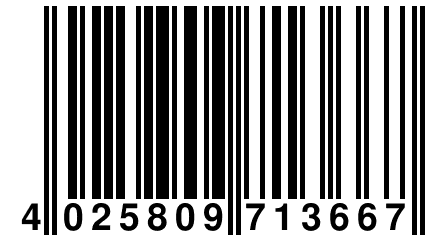 4 025809 713667