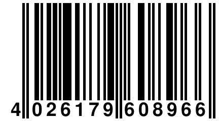 4 026179 608966