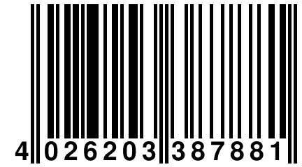 4 026203 387881