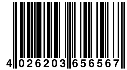 4 026203 656567