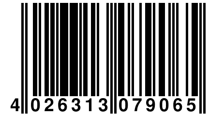 4 026313 079065