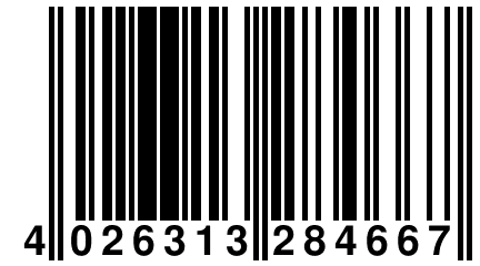 4 026313 284667