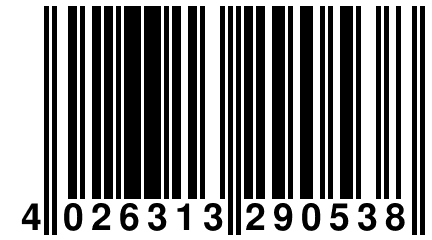 4 026313 290538