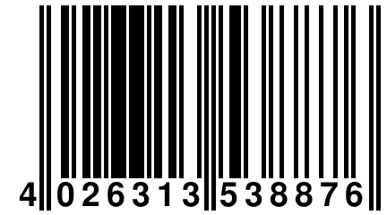 4 026313 538876