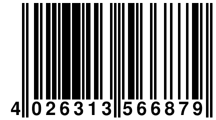 4 026313 566879