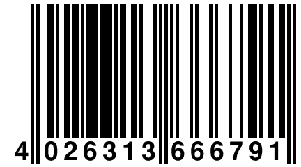 4 026313 666791