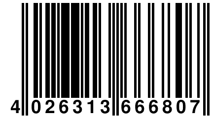 4 026313 666807