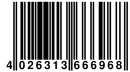 4 026313 666968