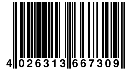 4 026313 667309