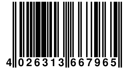 4 026313 667965