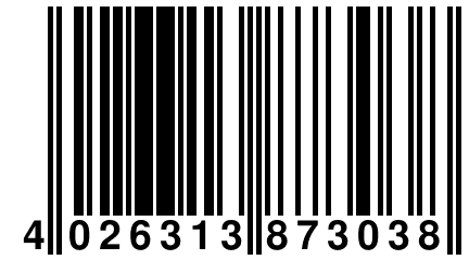 4 026313 873038