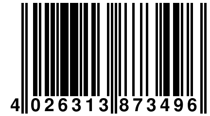 4 026313 873496