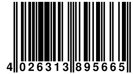 4 026313 895665