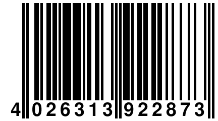 4 026313 922873