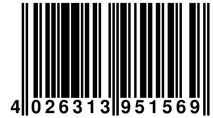 4 026313 951569