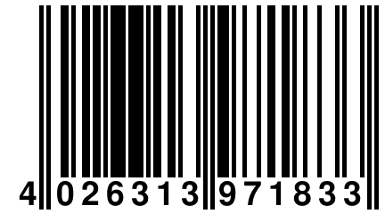 4 026313 971833