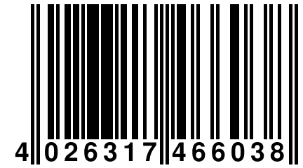 4 026317 466038