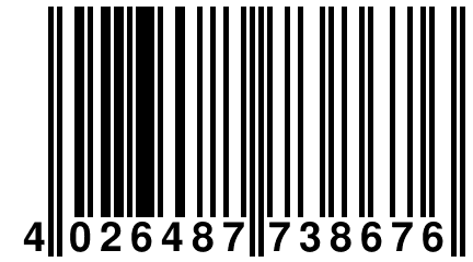 4 026487 738676