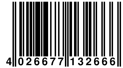 4 026677 132666