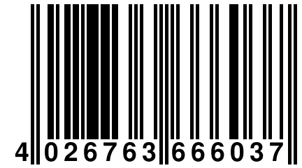 4 026763 666037