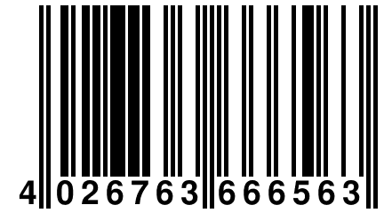 4 026763 666563