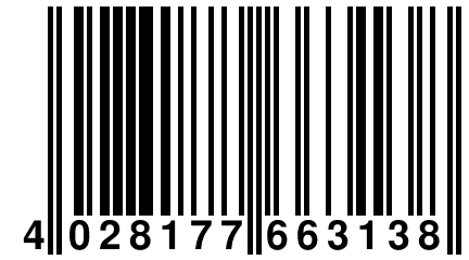 4 028177 663138