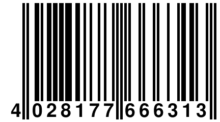 4 028177 666313