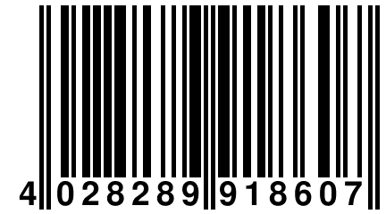 4 028289 918607