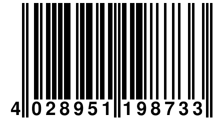 4 028951 198733