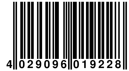 4 029096 019228