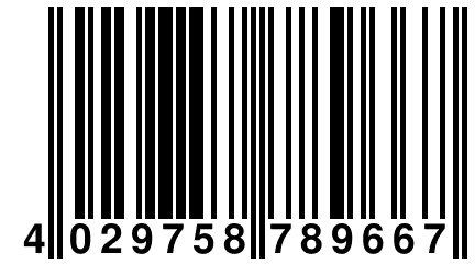 4 029758 789667