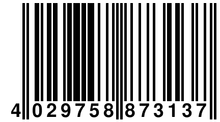 4 029758 873137