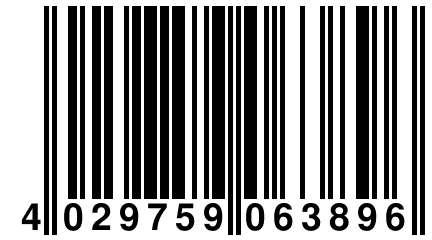 4 029759 063896