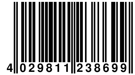 4 029811 238699