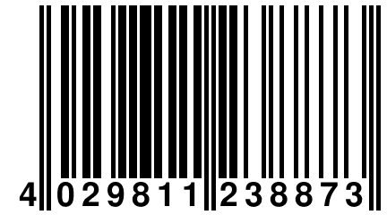 4 029811 238873