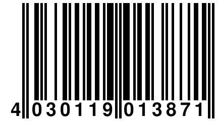 4 030119 013871