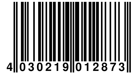 4 030219 012873