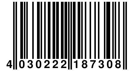 4 030222 187308