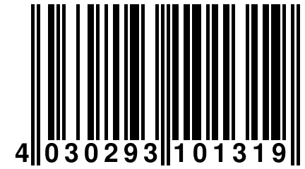 4 030293 101319