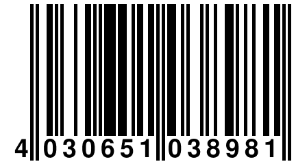 4 030651 038981