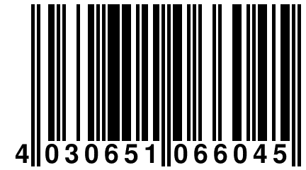 4 030651 066045